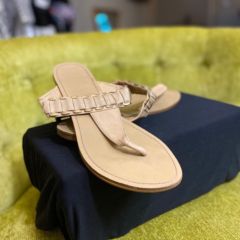 Chic Flip Flops
